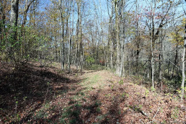 $119,000 | Blackberry Lake Road, Jeffersonville, NY 12748