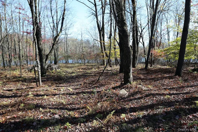 $119,000 | Blackberry Lake Road, Jeffersonville, NY 12748