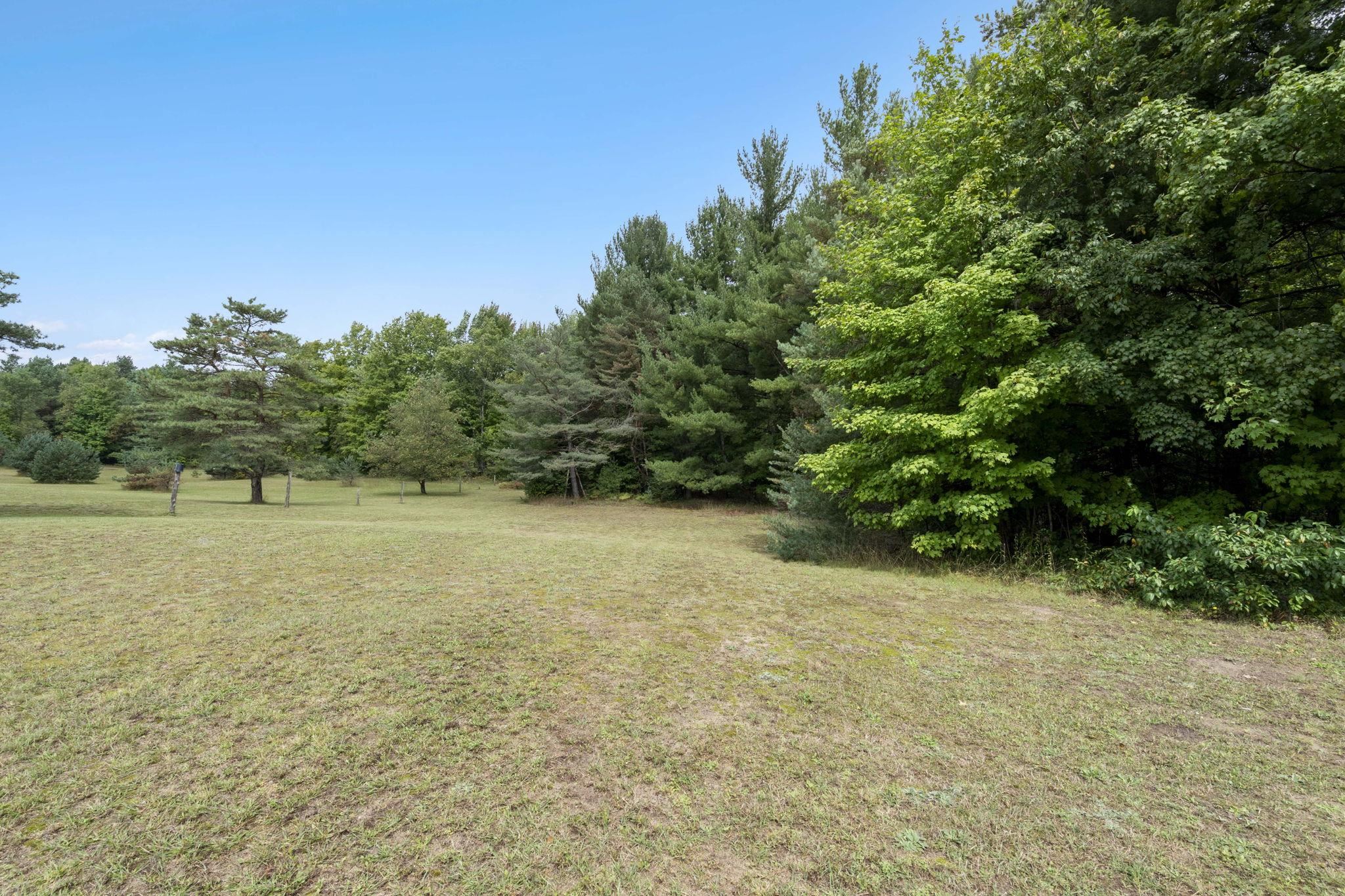 4155 Spencer Road Southeast Kalkaska, MI 49646 - Photo 63 of 83 1950565-f544440d-4ee8-4f39-83f1-59abea3e303e.JPG