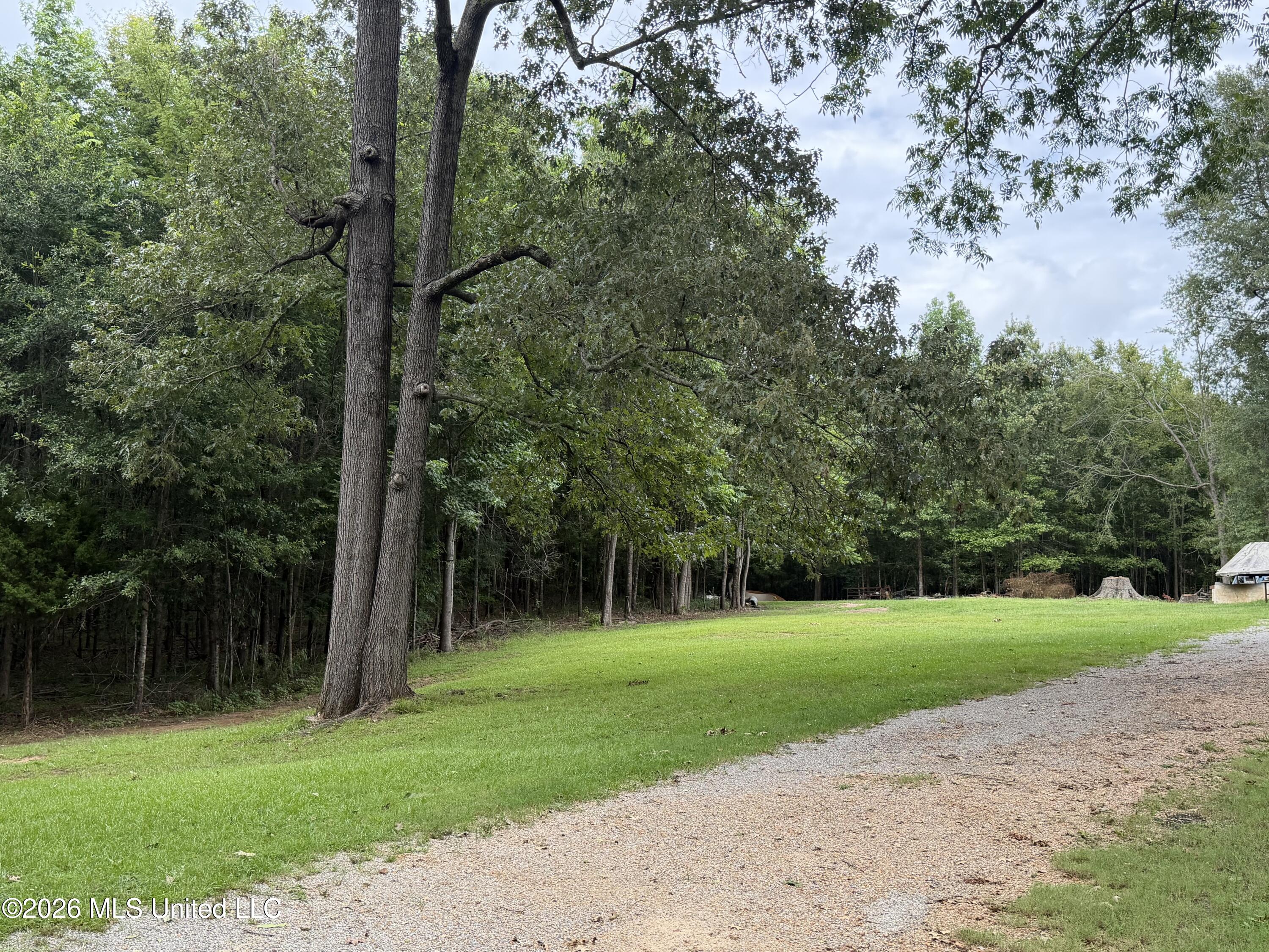483 North Palestine Road Natchez, MS 39120 - Photo 2 of 19 IMG_1588