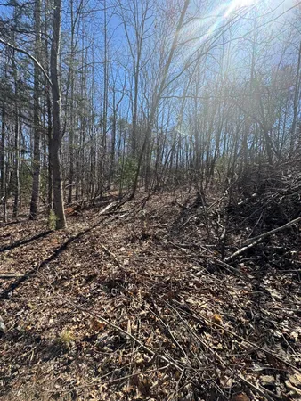 $16,000 | Lot 7 Navajo Circle, Henry, VA 24102