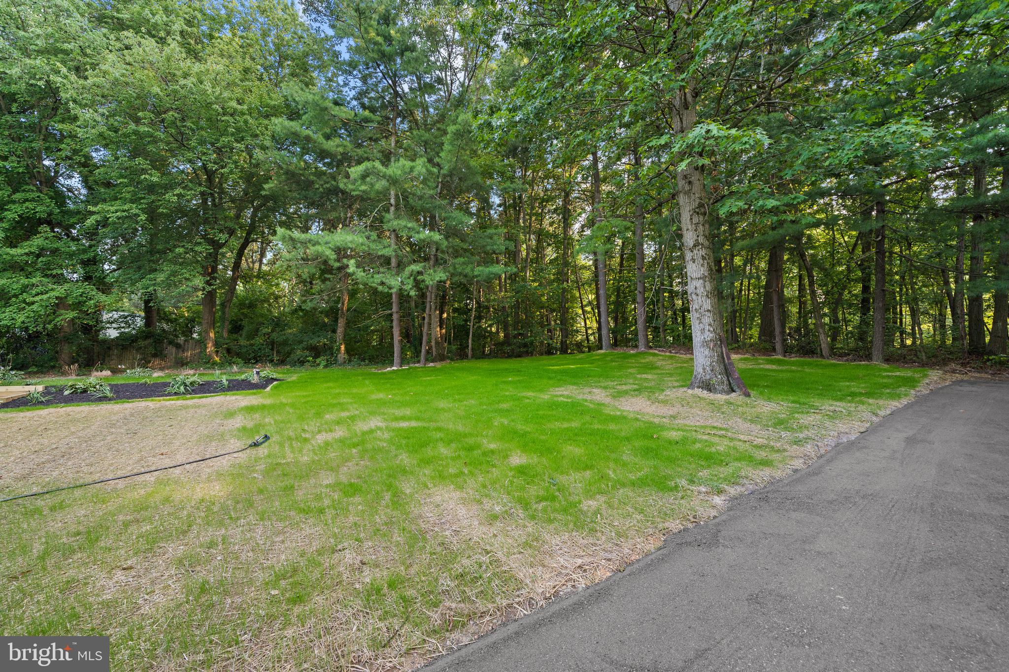 223 Marysville Road North East, MD 21901 - Photo 40 of 57