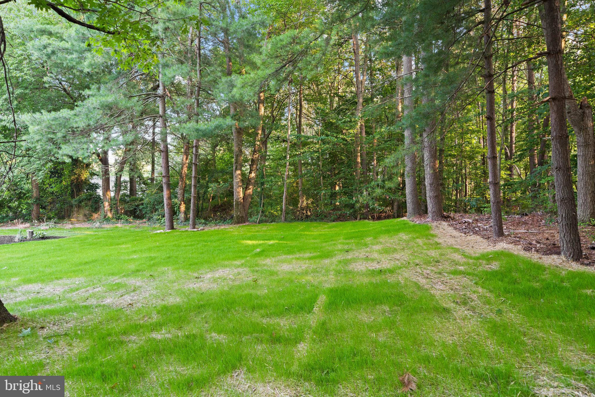223 Marysville Road North East, MD 21901 - Photo 42 of 57