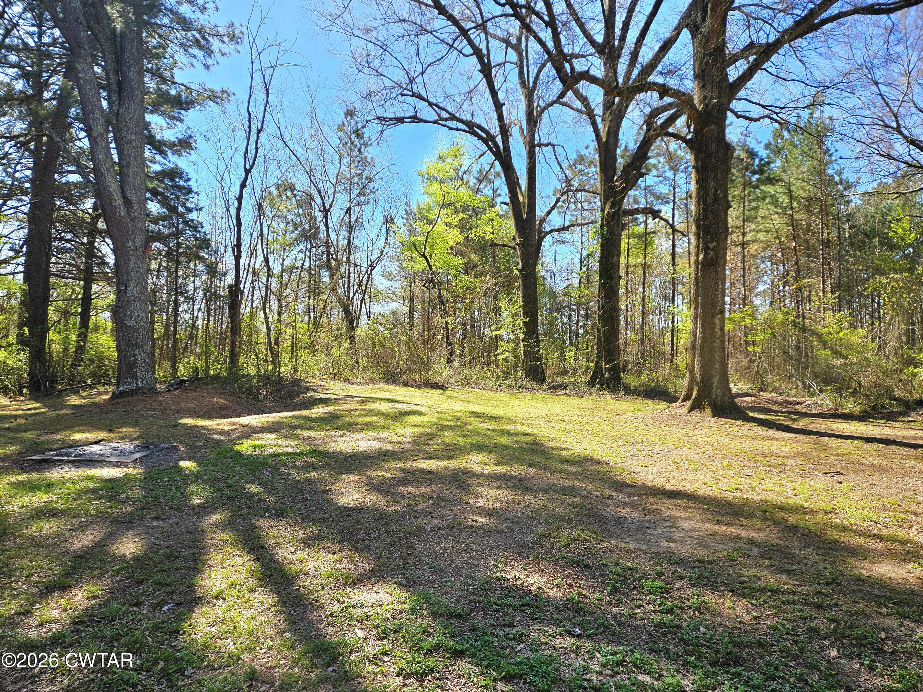550 Lawrence Switch Road Jackson, TN 38305 - Photo 19 of 25 a view of road and trees