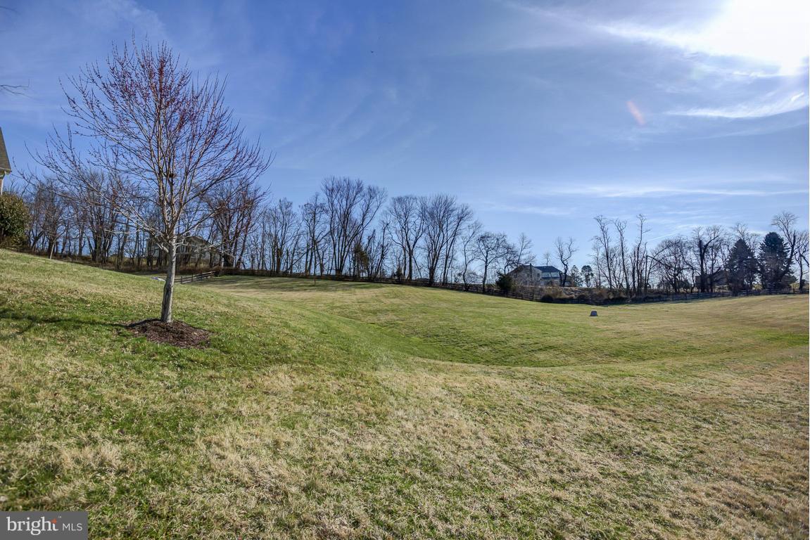18060 Dry Mill Road Leesburg, VA 20175 - Photo 30 of 30 Exterior (Rear)