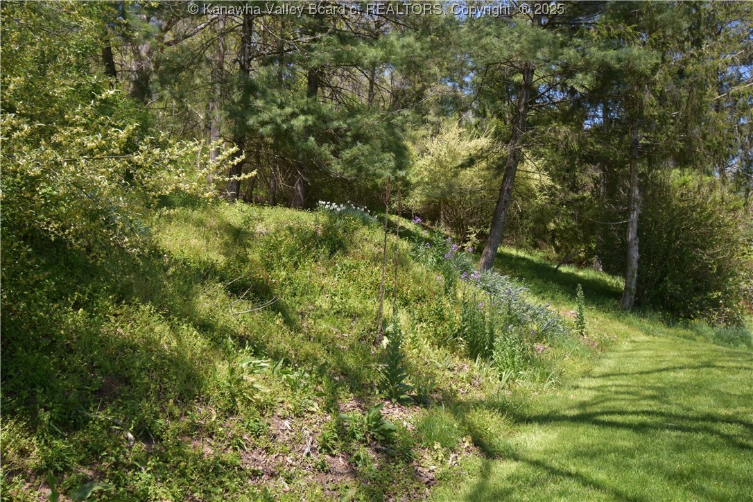 6 Coast Run Road Sandyville, WV 25275 - Photo 17 of 36 Gallery Image 17