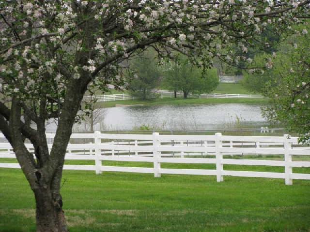 410 Ridgewood Road Franklin, TN 37064 - Photo 18 of 20 Gallery Image 18
