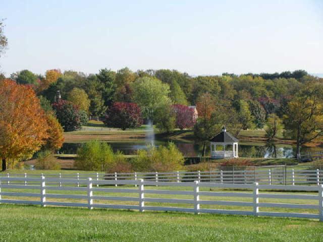 410 Ridgewood Road Franklin, TN 37064 - Photo 19 of 20 Gallery Image 19