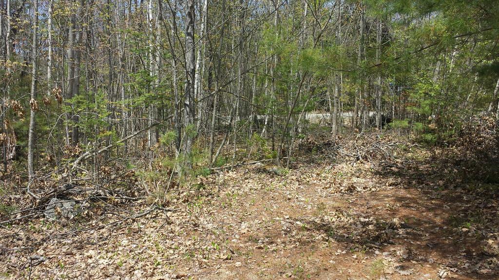 19 Sibley Road Burlington, ME 04417 - Photo 1 of 9 Photo