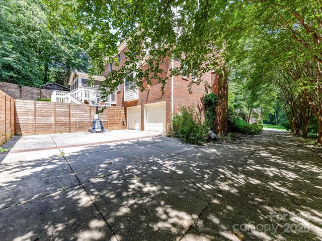 a view of a yard with plants and trees
