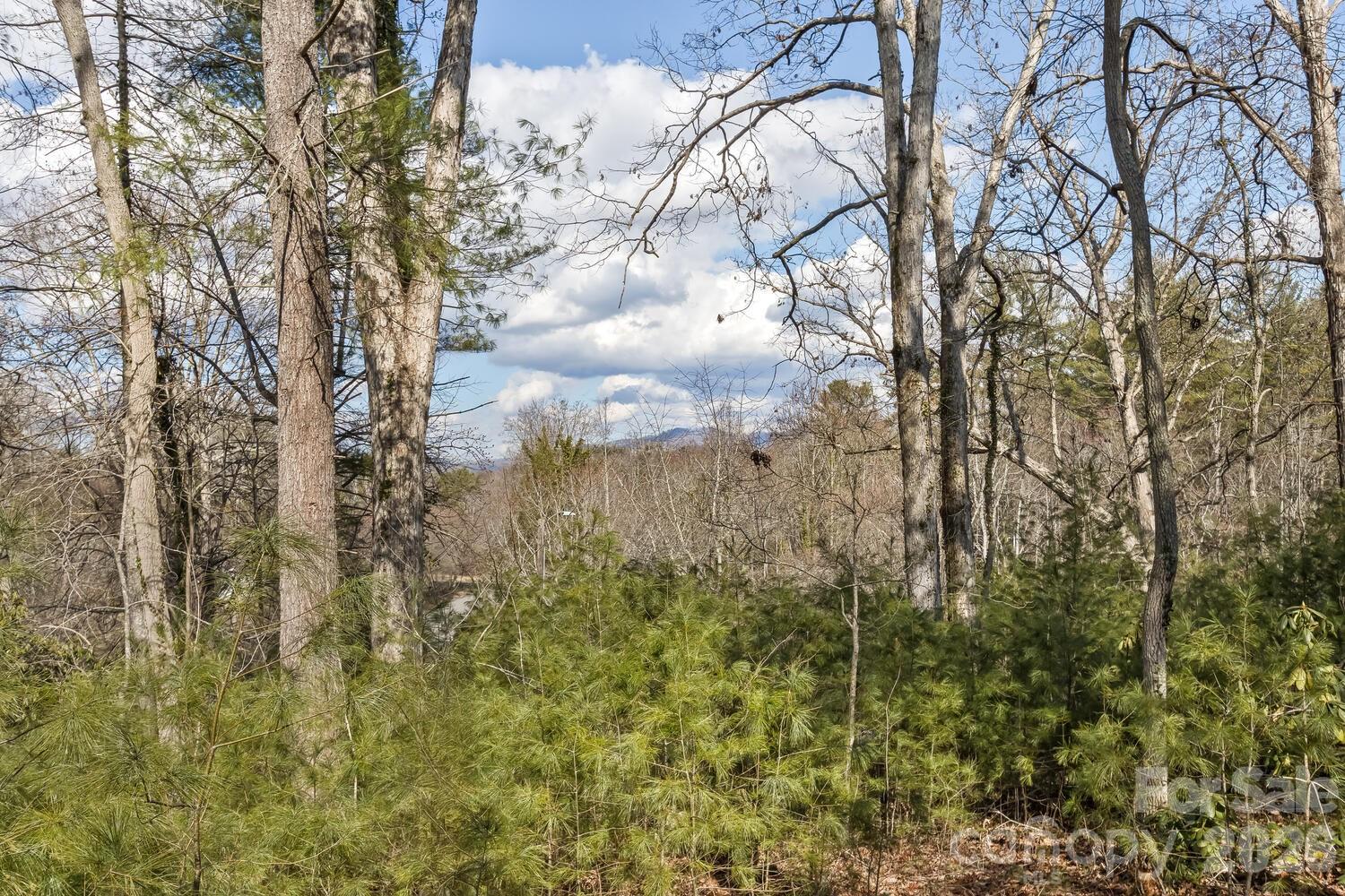 68 Acorn Road Asheville, NC 28804 - Photo 43 of 47 Gallery Image 43