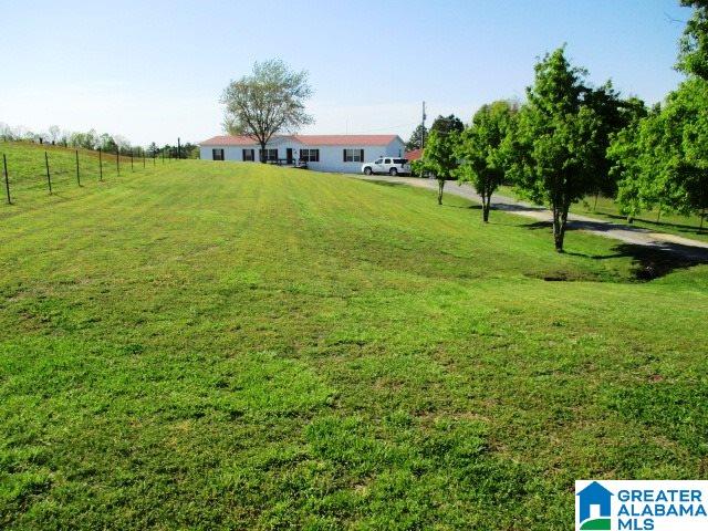 6971 Highway 24 Oneonta, AL 35121 - Photo 35 of 45