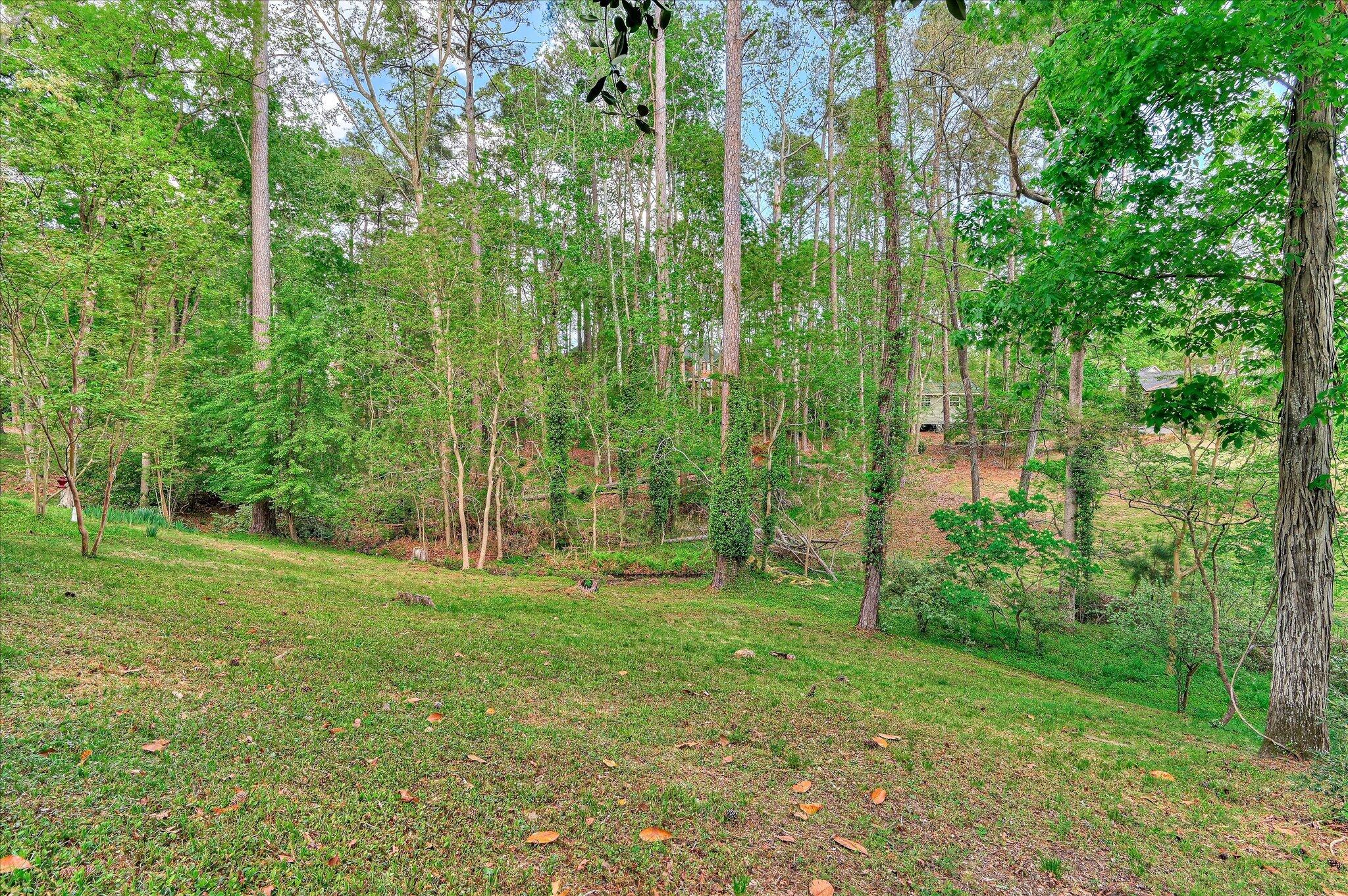 16 Rapids Court North Augusta, SC 29841 - Photo 41 of 49 Huge yard with small creek