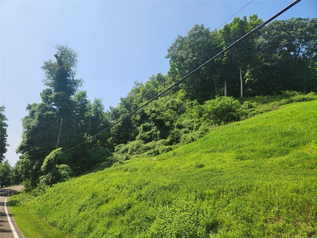 River Road Newburgh, NY 12550 - Photo 6 of 8 View of nature