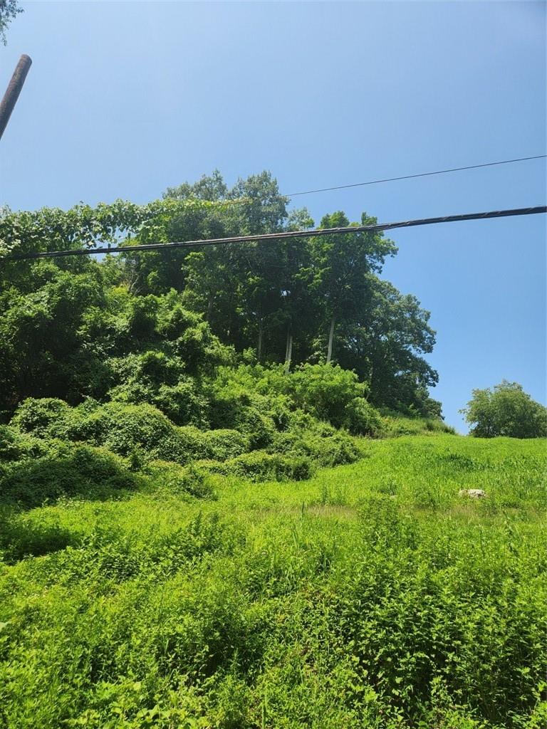 River Road Newburgh, NY 12550 - Photo 8 of 8 View of local wilderness