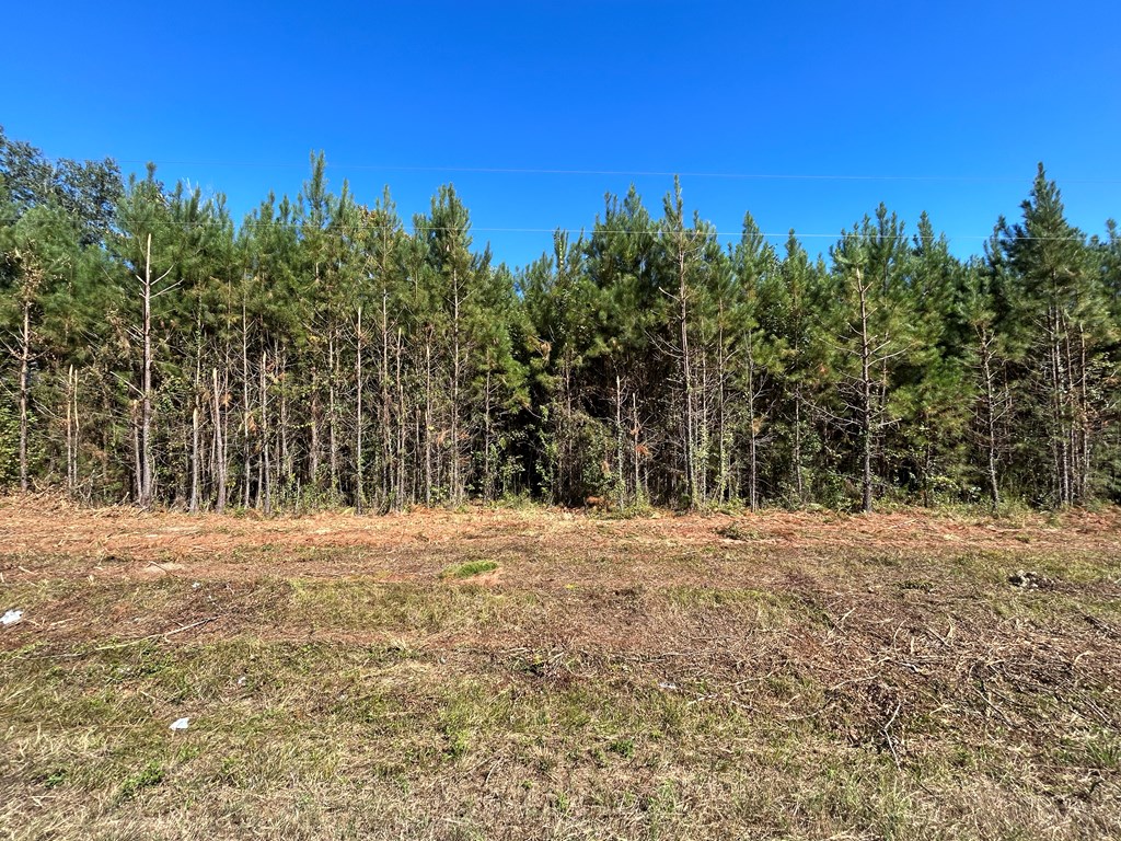 5.296-ac 5.296-ac Road Cottonwood, AL 36320 - Photo 18 of 21