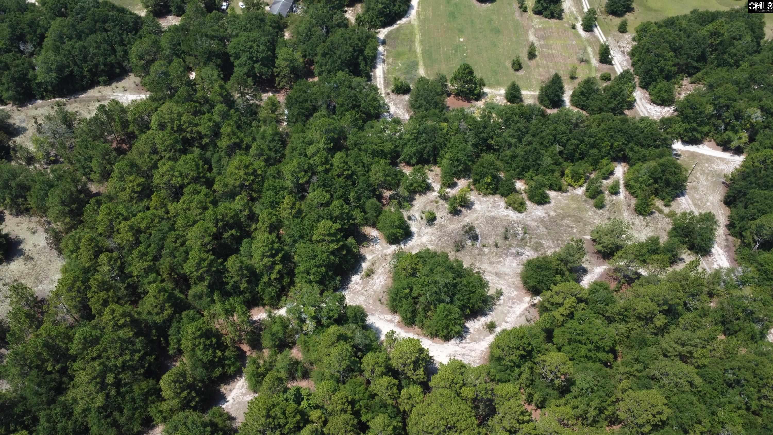 0 Poinsettia Road Wagener, SC 29164 - Photo 12 of 15 Gallery Image 12