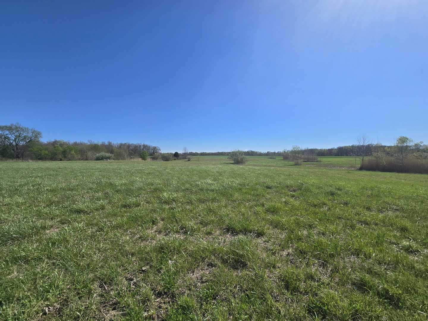 0 East Bakerville Road Belle Rive, IL 62810 - Photo 11 of 11