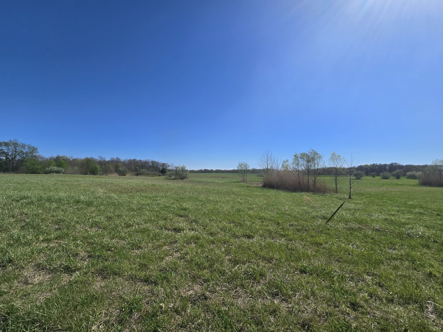 0 East Bakerville Road Belle Rive, IL 62810 - Photo 2 of 11