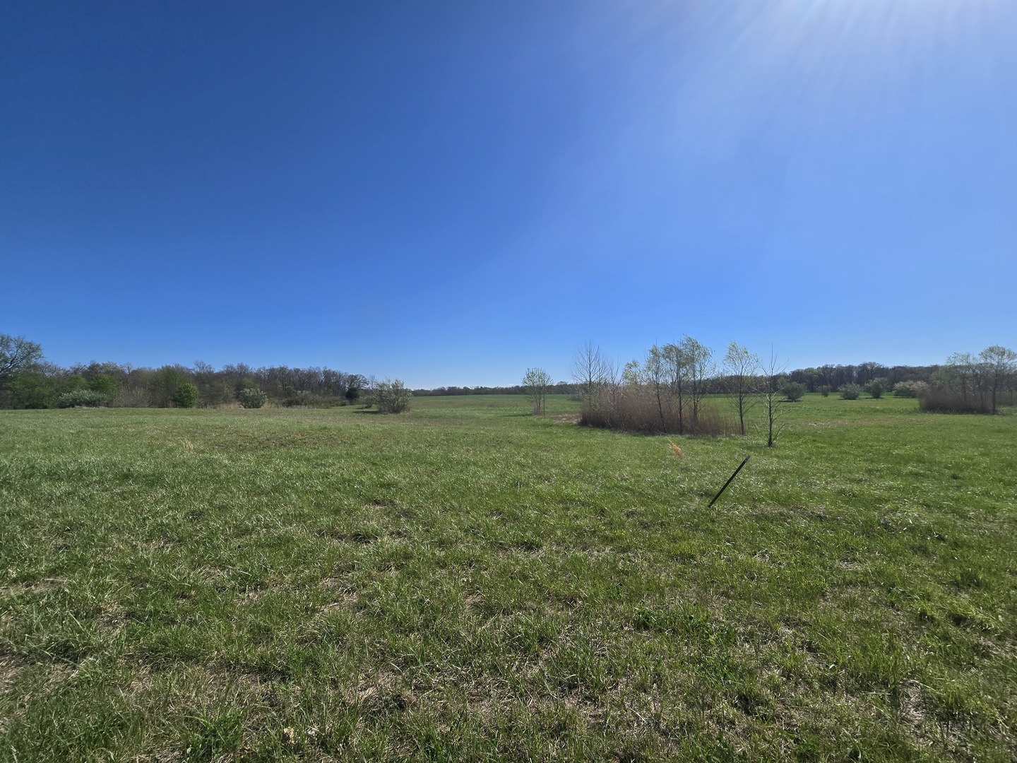 0 East Bakerville Road Belle Rive, IL 62810 - Photo 6 of 11