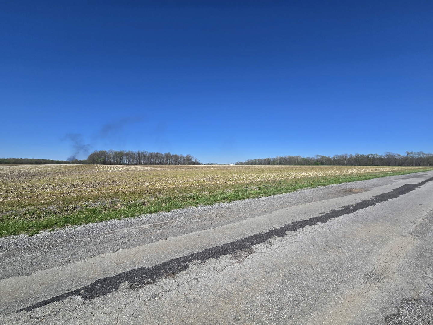 0 East Bakerville Road Belle Rive, IL 62810 - Photo 8 of 11