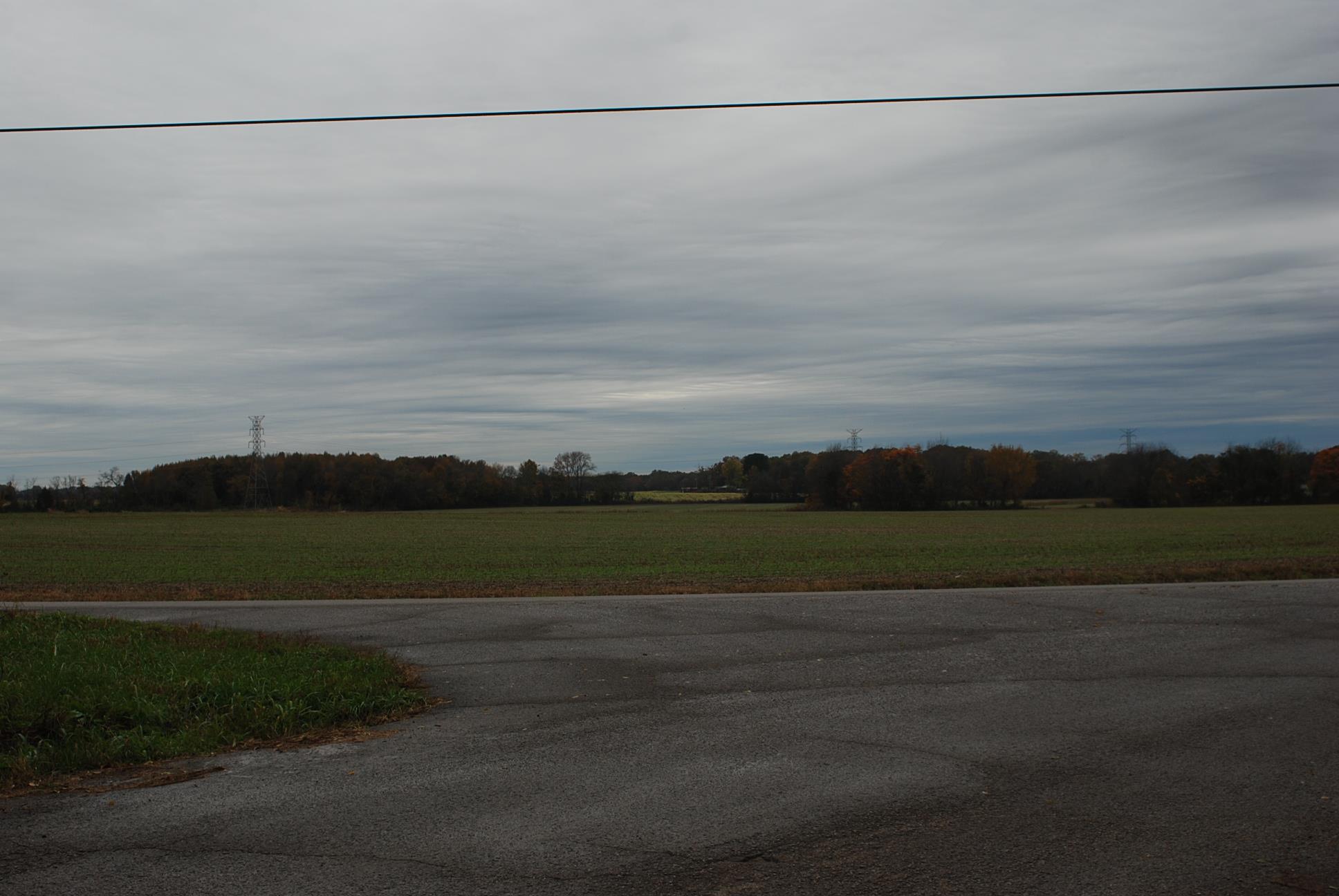 19 High Top Lane Decherd, TN 37324 - Photo 17 of 23 view from front yard