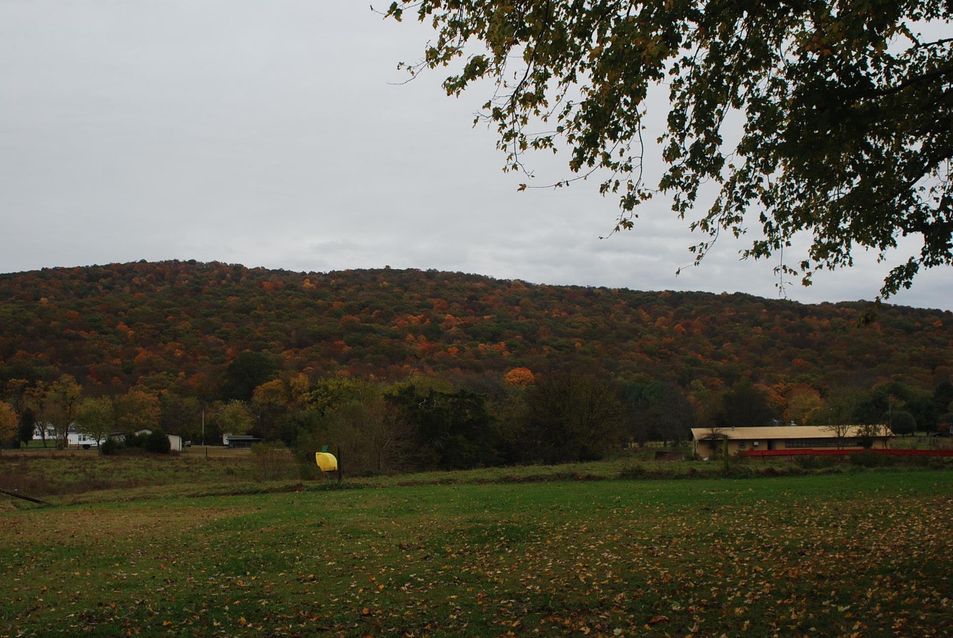 19 High Top Lane Decherd, TN 37324 - Photo 23 of 23 view from back