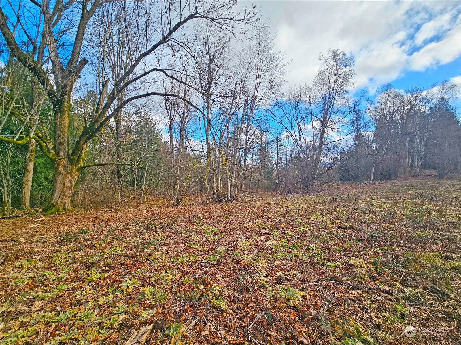 0 Van Buren Road Everson, WA 98247 - Photo 11 of 16 Gallery Image 11
