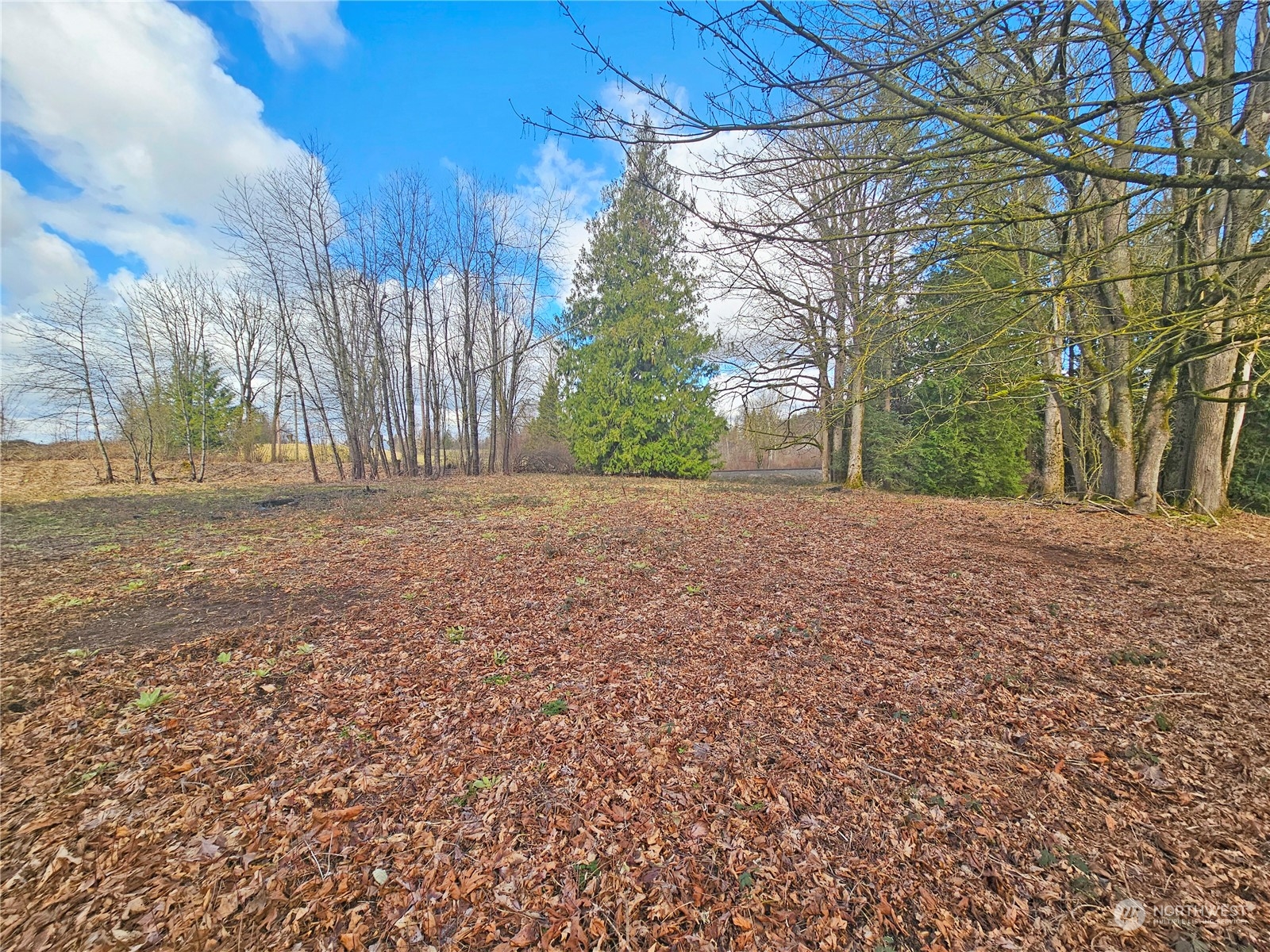 0 Van Buren Road Everson, WA 98247 - Photo 12 of 16 Gallery Image 12