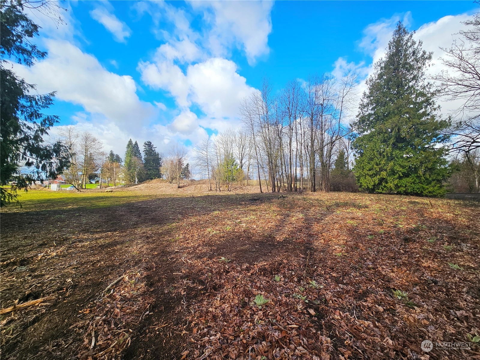0 Van Buren Road Everson, WA 98247 - Photo 13 of 16 Gallery Image 13