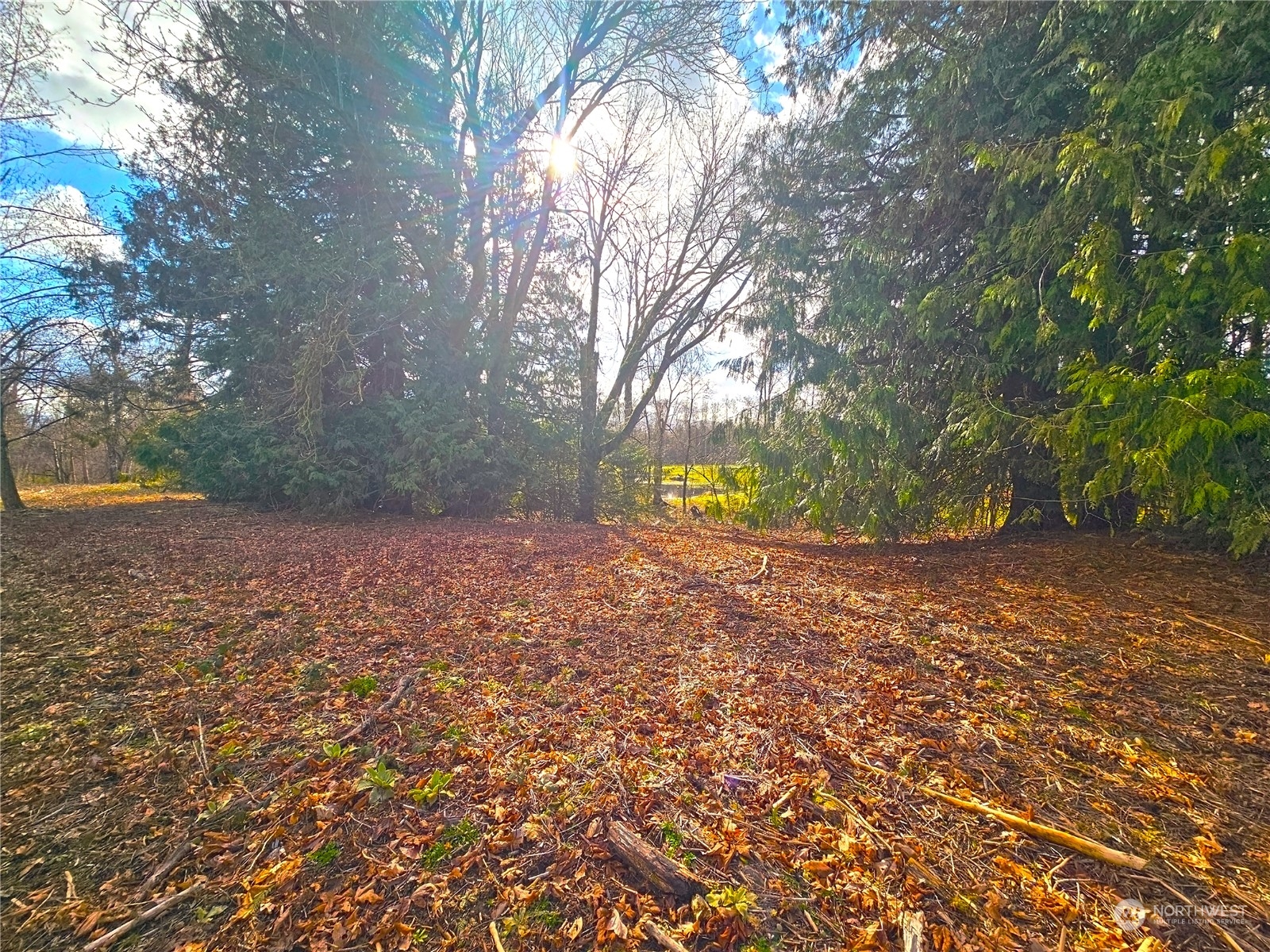 0 Van Buren Road Everson, WA 98247 - Photo 14 of 16 Gallery Image 14