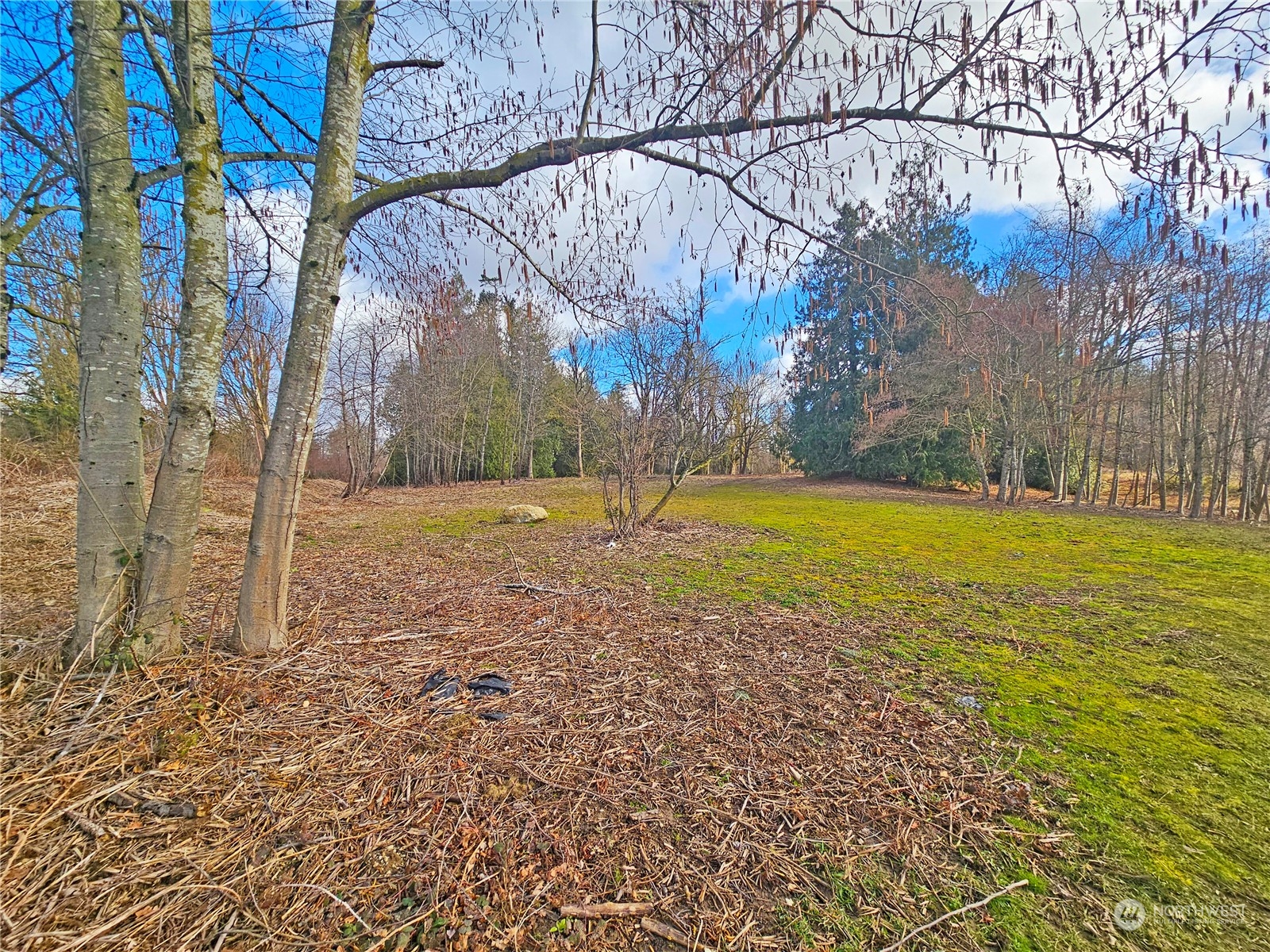 0 Van Buren Road Everson, WA 98247 - Photo 2 of 16 Gallery Image 2