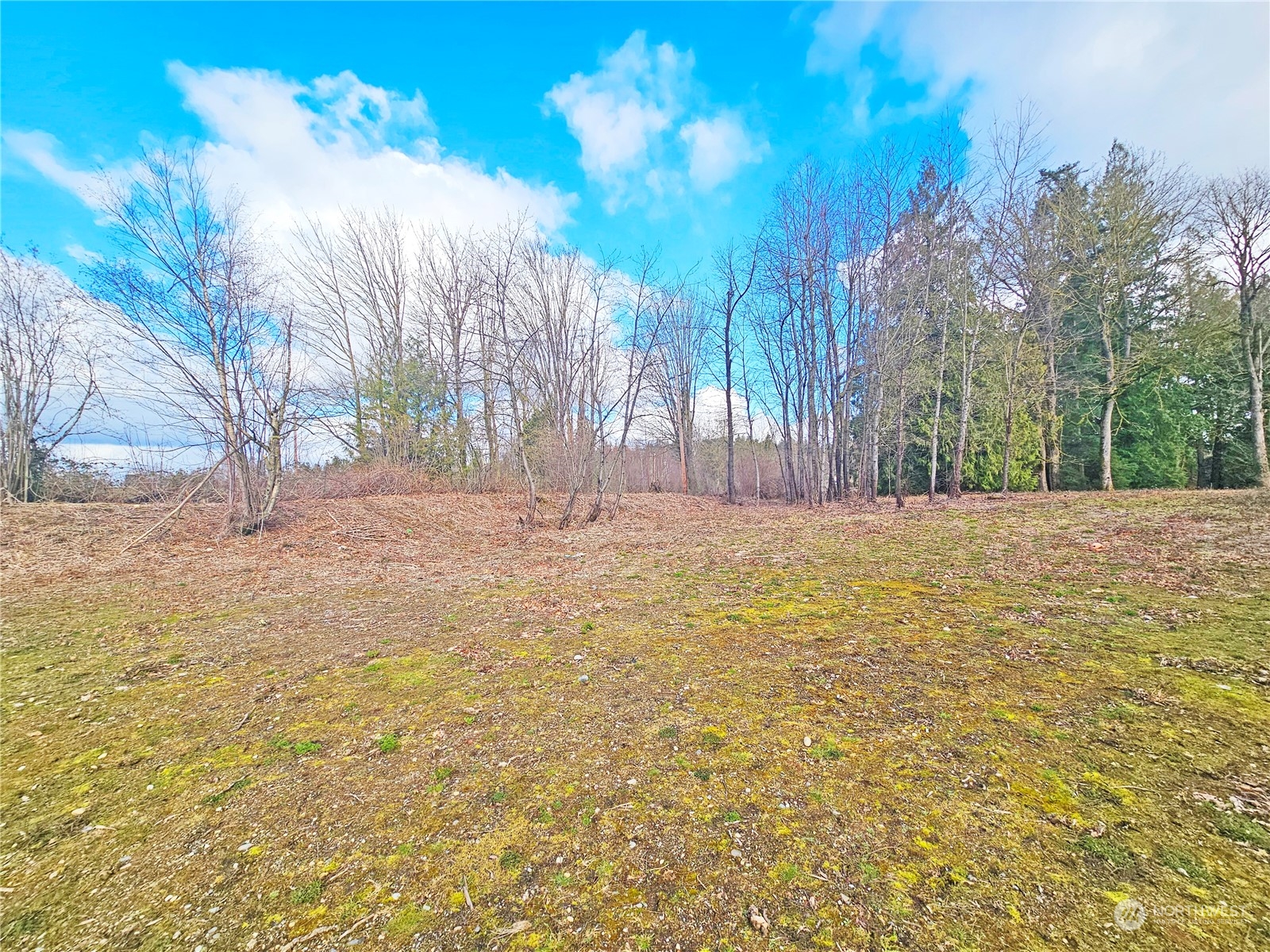 0 Van Buren Road Everson, WA 98247 - Photo 3 of 16 Gallery Image 3