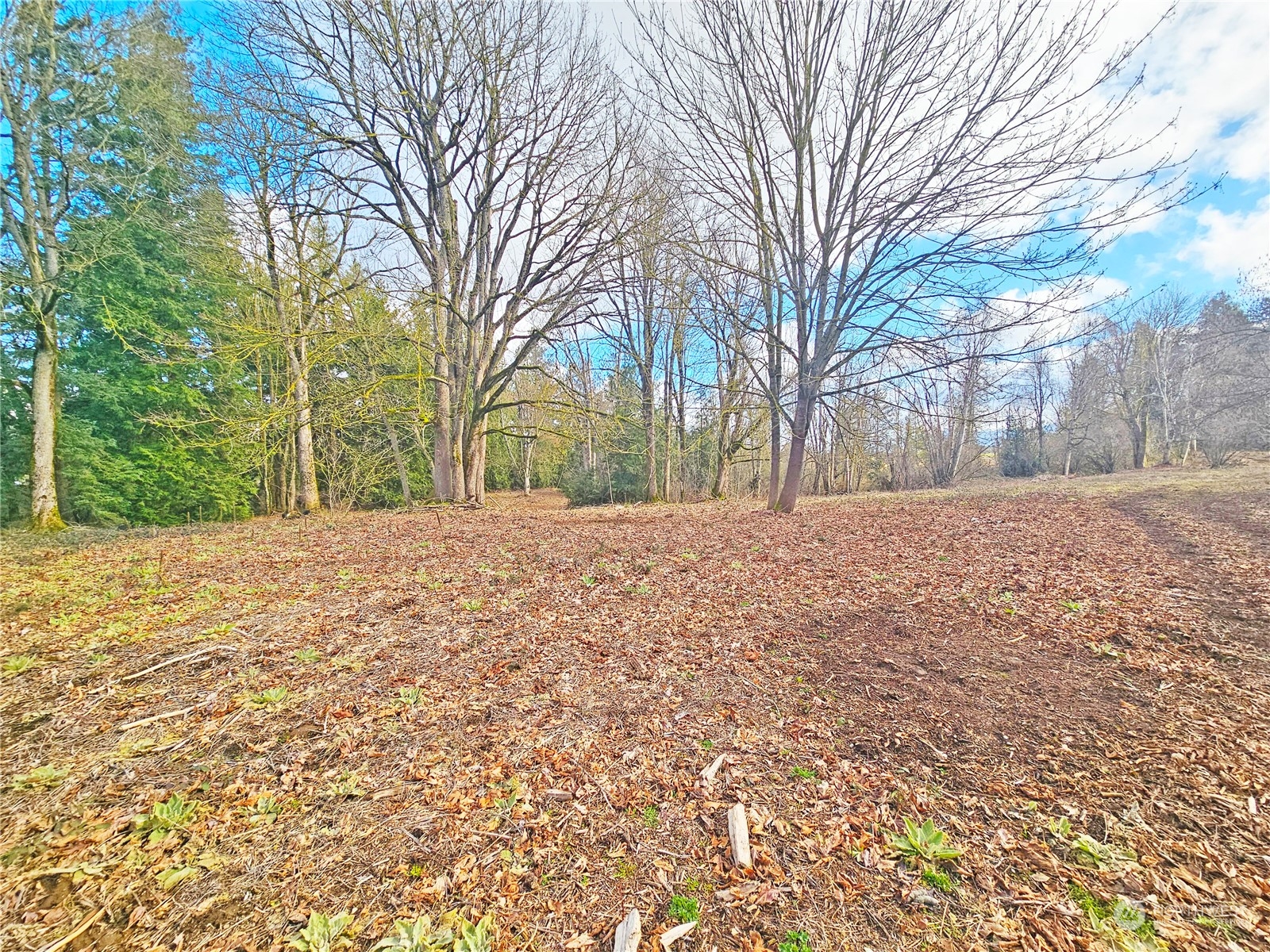 0 Van Buren Road Everson, WA 98247 - Photo 4 of 16 Gallery Image 4