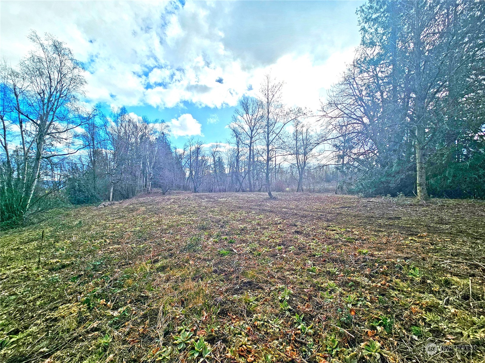 0 Van Buren Road Everson, WA 98247 - Photo 7 of 16 Gallery Image 7
