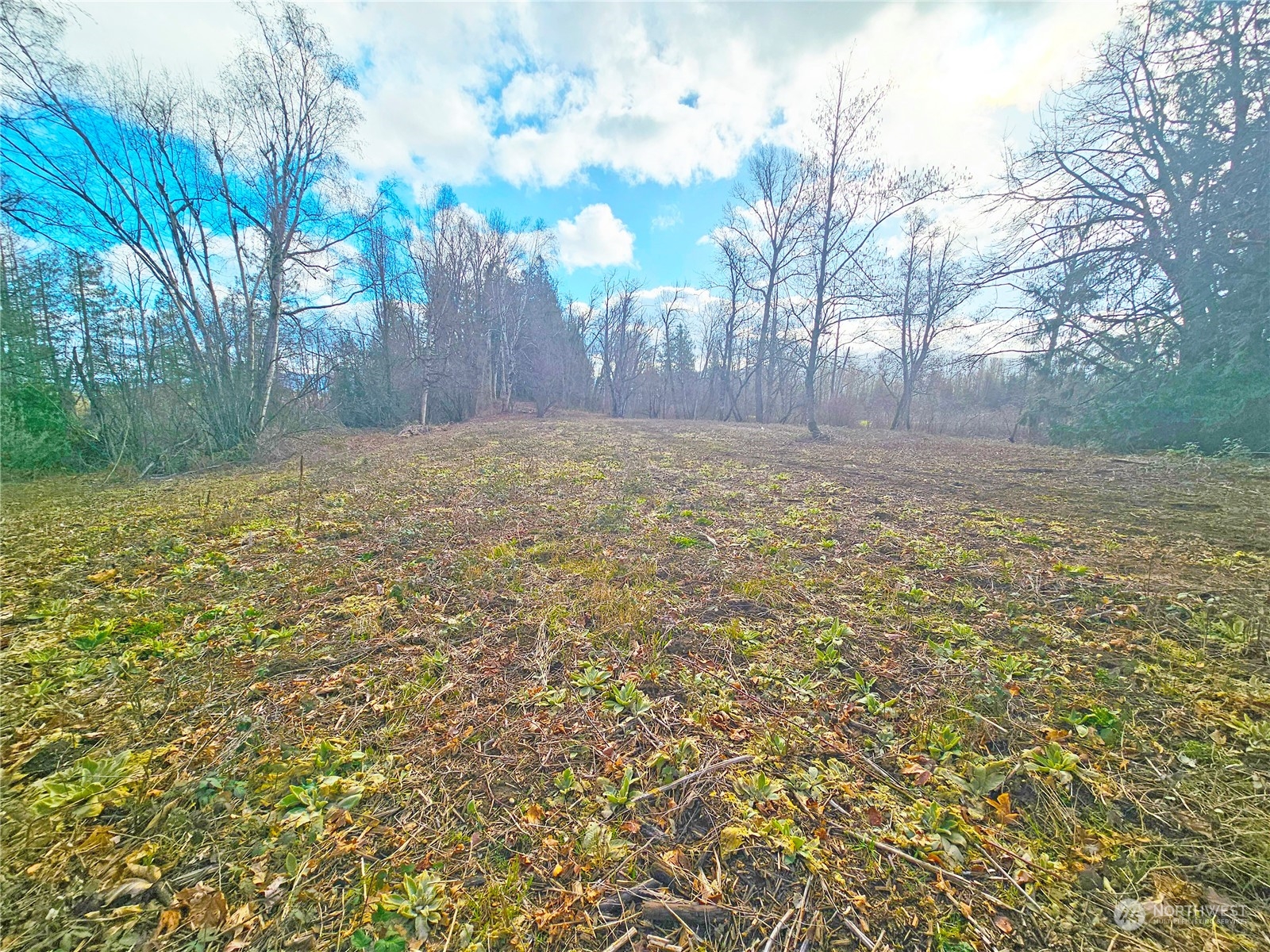 0 Van Buren Road Everson, WA 98247 - Photo 8 of 16 Gallery Image 8