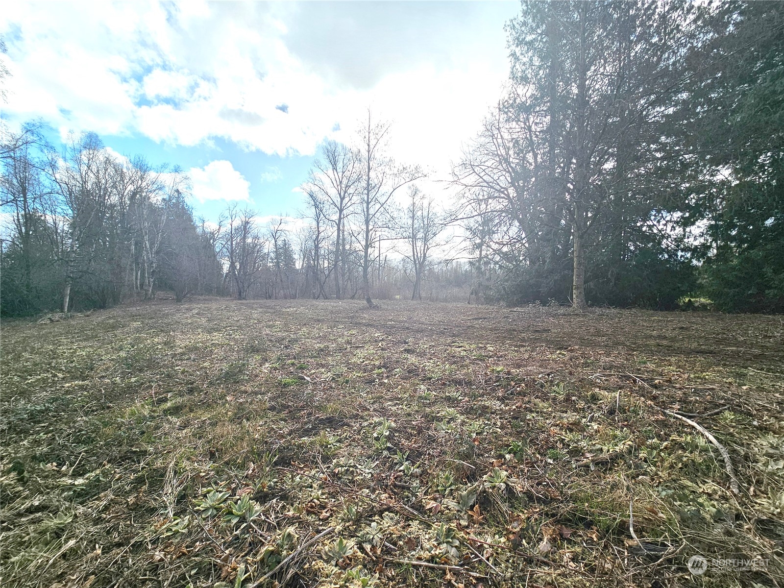 0 Van Buren Road Everson, WA 98247 - Photo 9 of 16 Gallery Image 9
