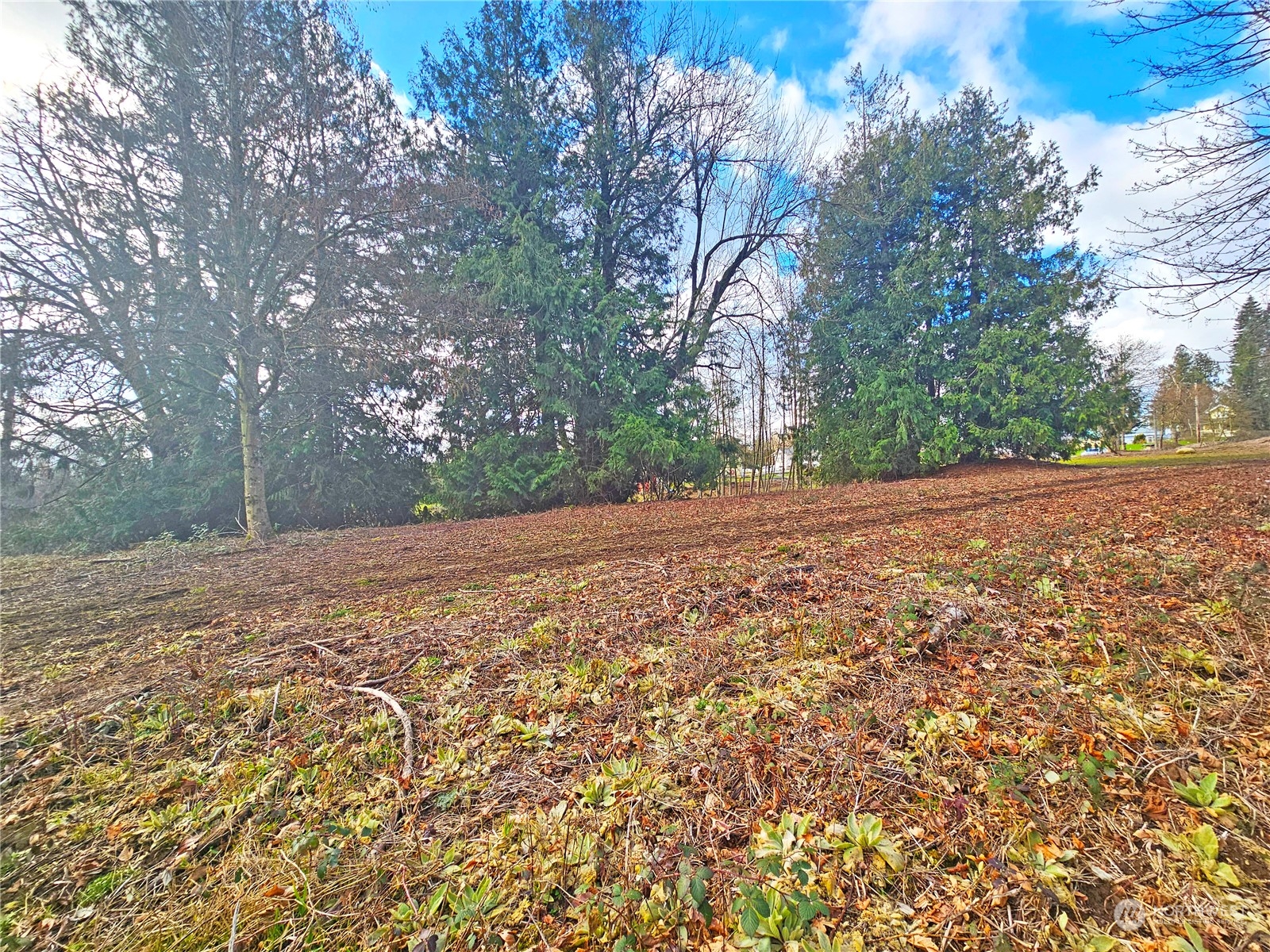 0 Van Buren Road Everson, WA 98247 - Photo 10 of 16 Gallery Image 10