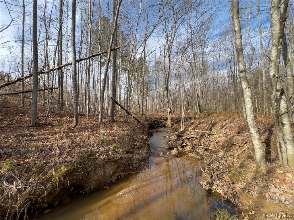 0 Derby Road Hurt, VA 24563 - Photo 15 of 50 a view of wooden fence