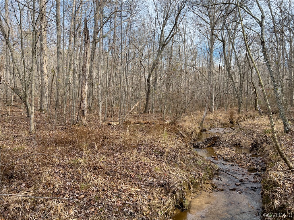 0 Derby Road Hurt, VA 24563 - Photo 21 of 50 a view of garden