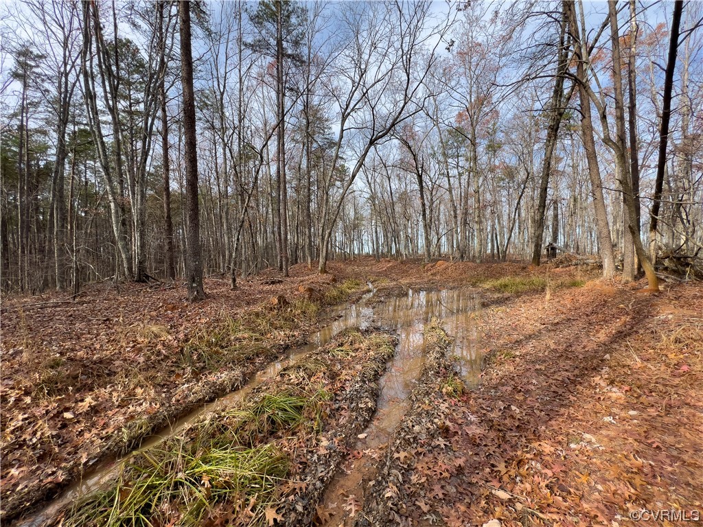 0 Derby Road Hurt, VA 24563 - Photo 31 of 50 a view of dirt yard with trees