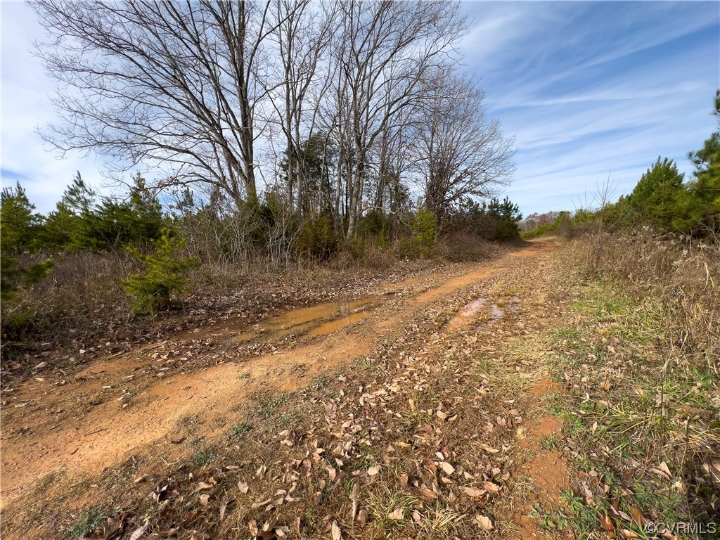 0 Derby Road Hurt, VA 24563 - Photo 5 of 50 a view of a yard with trees