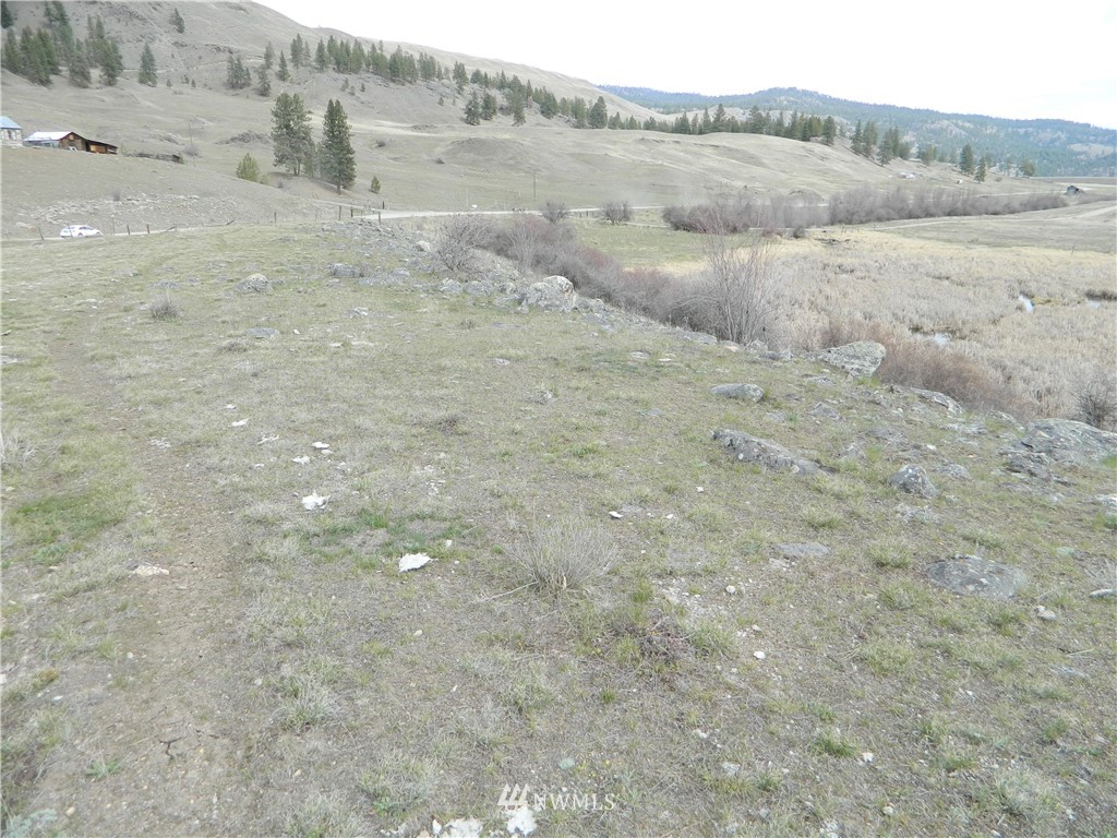 0 Aeneas Valley Road Tonasket, WA 98855 - Photo 7 of 10 Gallery Image 7