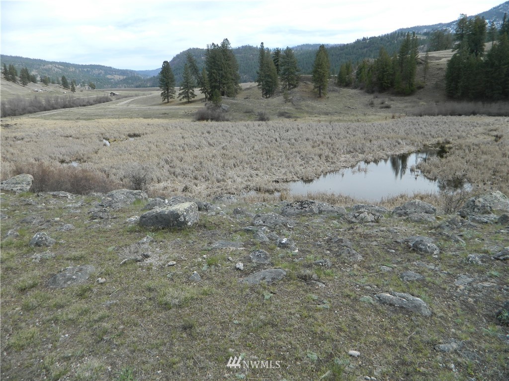 0 Aeneas Valley Road Tonasket, WA 98855 - Photo 8 of 10 Gallery Image 8
