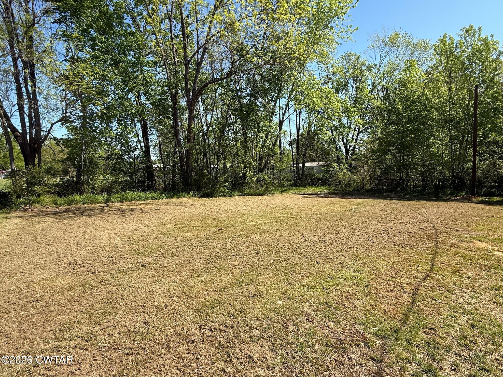 226 Massey Street Adamsville, TN 38310 - Photo 26 of 28 a view of yard with trees