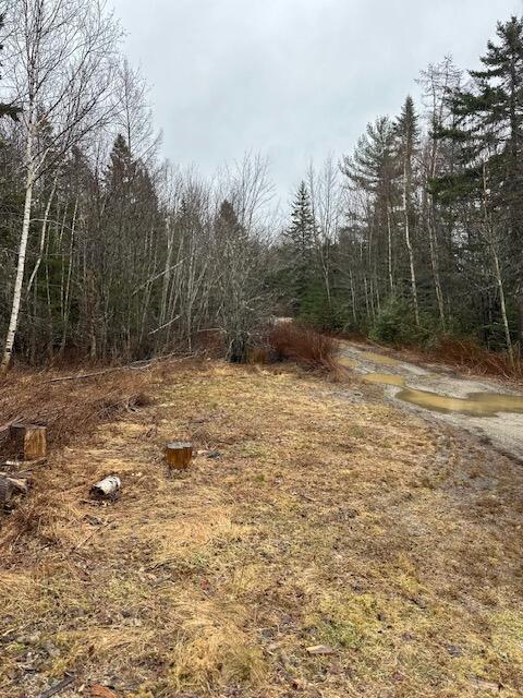 932 Tibbetstown Road Cherryfield, ME 04622 - Photo 22 of 22 IMG_0297