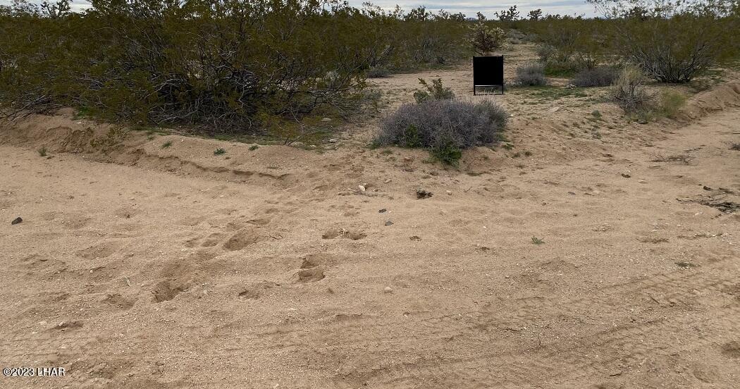 2593 South Deadeye Road Yucca, AZ 86438 - Photo 2 of 4 a view of a dry yard with wooden fence