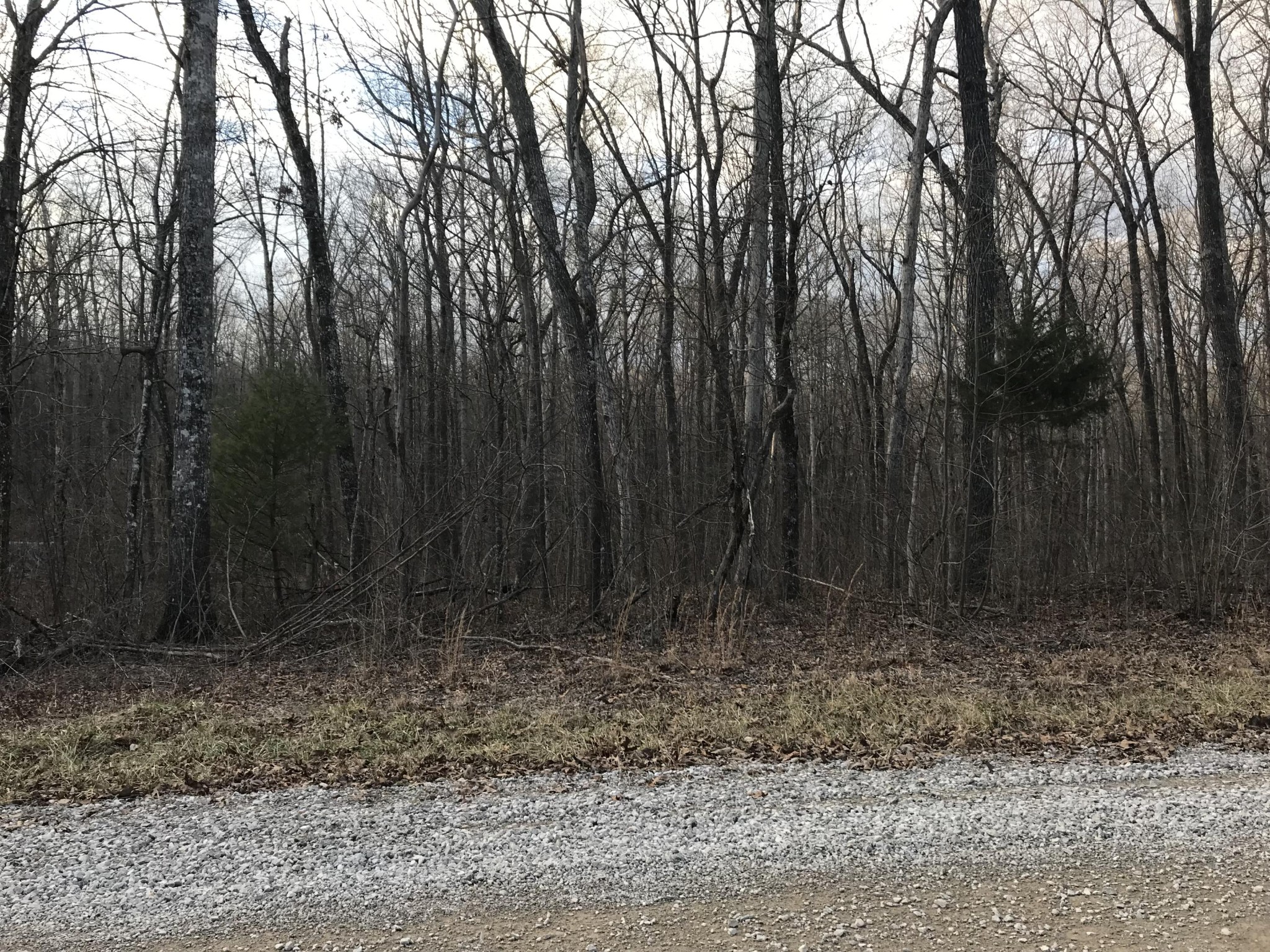 274 Valley View Road Crossville, TN 38572 - Photo 3 of 18 Gallery Image 3