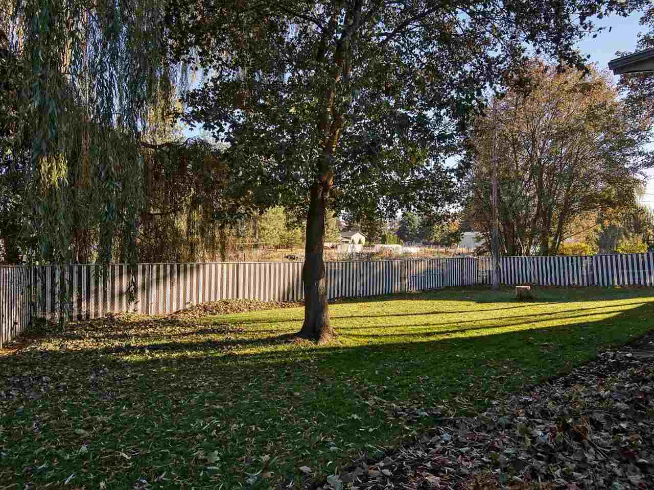 489 North 3rd Street Cheney, WA 99004 - Photo 44 of 50 Gallery Image 44