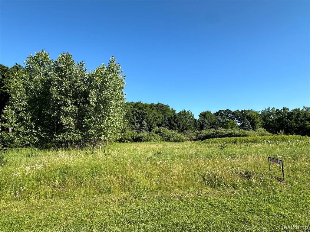 68 Donegal Court Fenton, MI 48430 - Photo 6 of 8